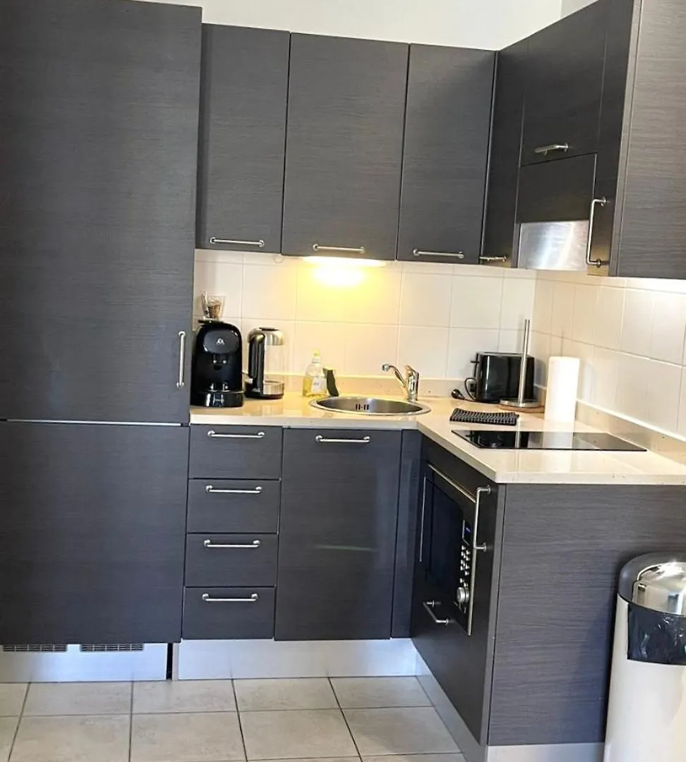 Apartment Place Grimaldi, Close To Beach And Restaurants, With Balcony Nice France